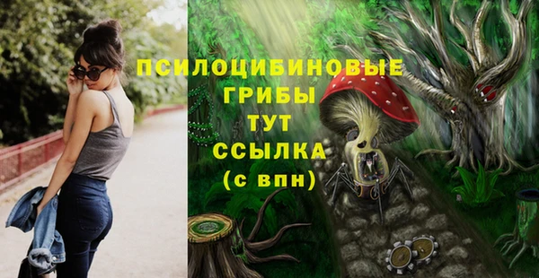 не бодяженный Вяземский