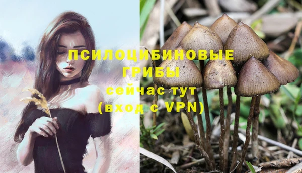 apvp Вязники