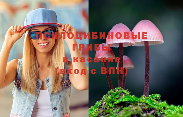 не бодяженный Вяземский