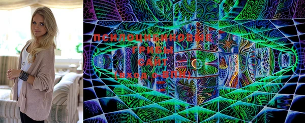 ALPHA-PVP Вязьма