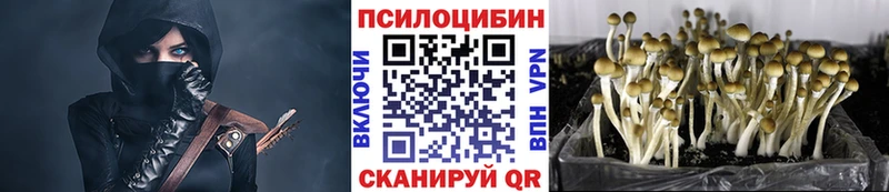 Галлюциногенные грибы Psilocybe  Чекалин 